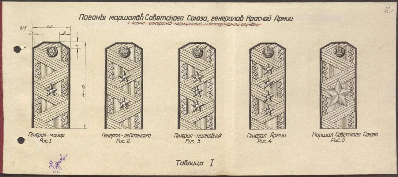 Погоны личного состава войск НКВД. Новые погоны. О введении новых знаков различия для личного состава красной армии. Документы о введении погон в РККА.