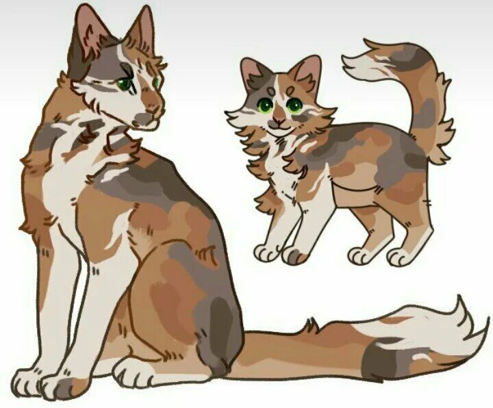 имена из котов воителей. коты воители генератор персонажей. коты воители окрасы адопты. коты воители однозвезд арт. коты воители адопт персы.