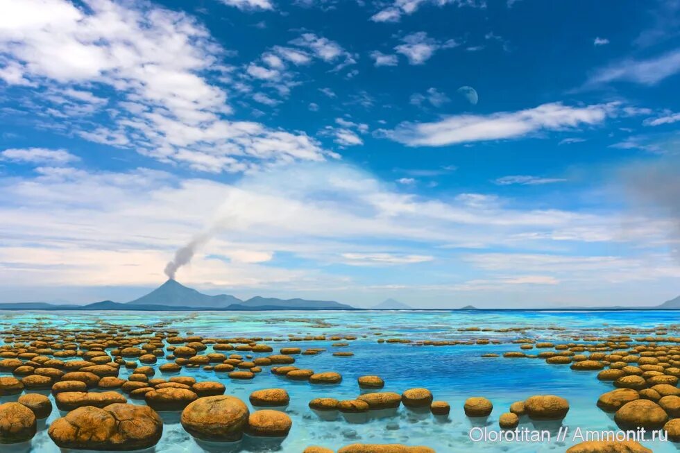 Первичный океан был. Строматолиты протерозой. Строматолиты Архей. Водоросли в эру протерозой. Строматолиты архейской эры.