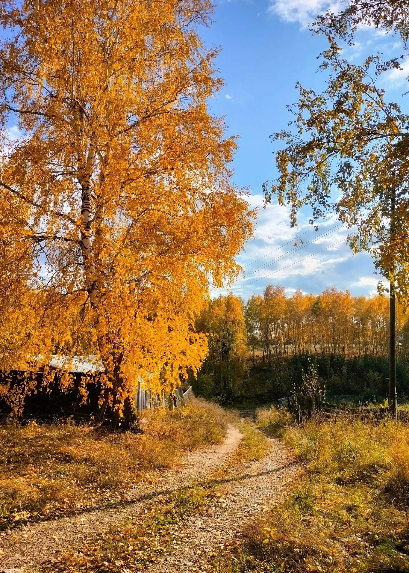 Осень это начало другой сказки. Осень заканчивается. Кончается октябрь. Кот осень дождь. Просыпается осень и кончается повесть.