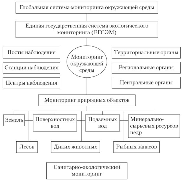 Единая государственная система экологического мониторинга РФ. Государственный экологический мониторинг подсистемы. Система государственного экологического мониторинга в России. Общегосударственная служба экологического мониторинга схема. Экологические службы рф