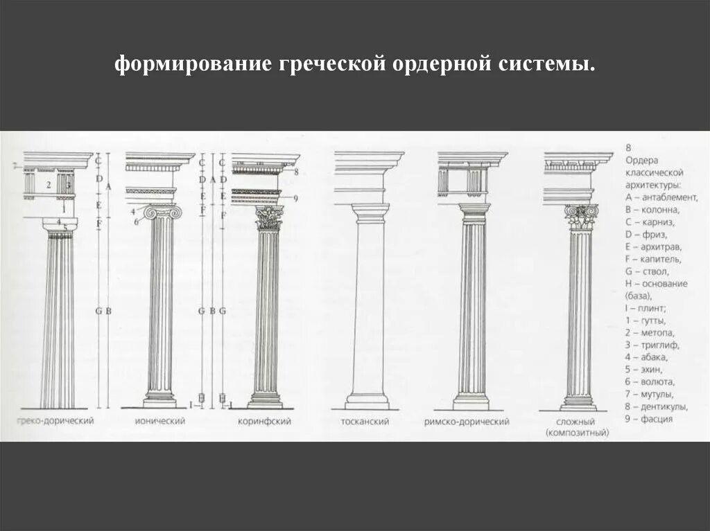 Древний Рим ордерная система. Тосканский ордер в архитектуре древней Греции. Тосканский архитектурный ордер древнего Рима. Тосканский ордер в архитектуре древней Греции схема.