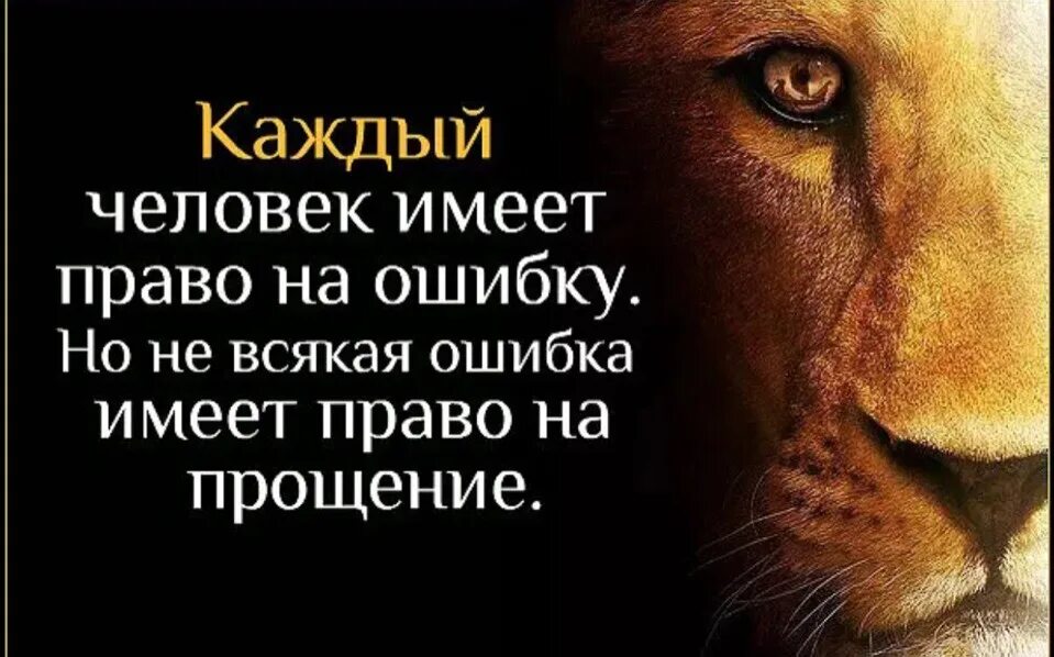 Право на ошибку читать книгу. Каждый человек имеет право на ошибку. Право на ошибку цитаты. Каждый человек имеет право на прощение. Каждый человек имеет право на ошибку главное.