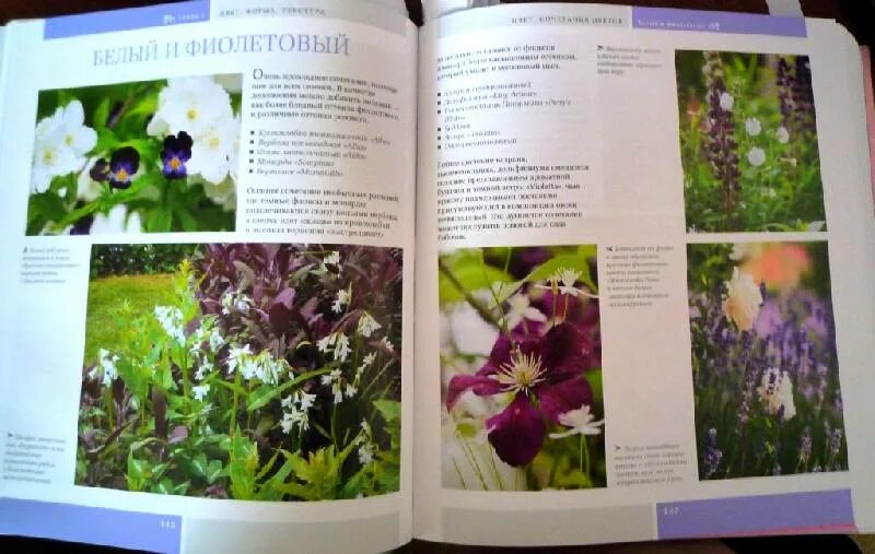 Анастасия корпач цветники 85 лучших композиций купить. Татьяна койсман 100 растений для вашего сада. Книга цветники. Татьяна койсман цветники сезонные планы. Цветник книга.