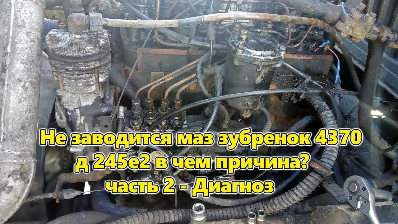 Не заводится эхо. Двигатель МАЗ Зубренок д-245 евро 3. МАЗ Зубренок д 245. Насос подкачки топлива МАЗ Зубренок 4370 двигатель д 245 е2. Топливная система дизельного двигателя д245 е2.