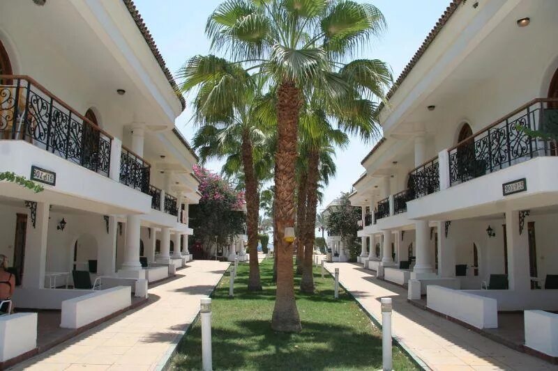 Dessole Seti Sharm Resort 4 Шарм-Эль-Шейх. Dessole Seti Sharm Resort (Шарм-Эль-Майя). Seti Sharm Palm Beach Resort Шарм-Эль-Шейх. Seti Sharm Palm Beach Resort 4.