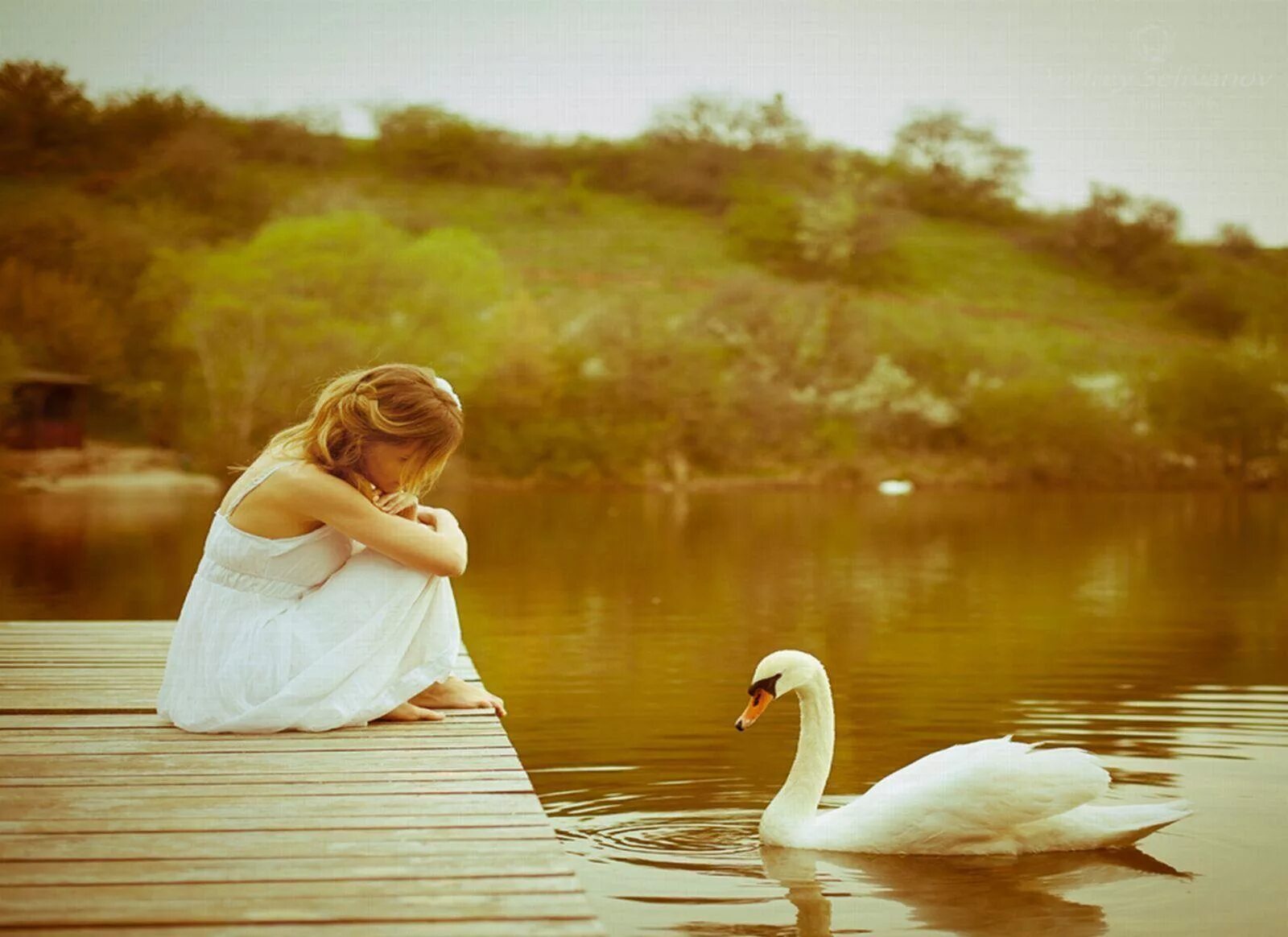 Жена спасет мир. Красота души. Девушка у озера с лебедями. Душевная девушка. Доброта и простота.