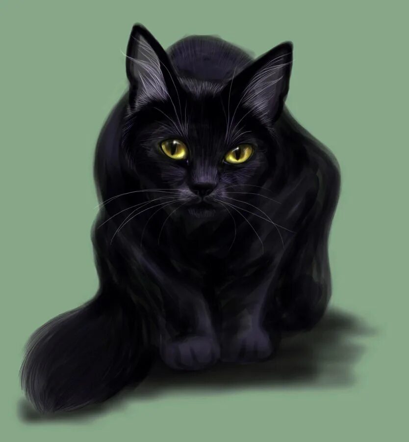 Черные большие рисунки. Коты Воители черная кошка с желтыми глазами. Чёрный кот. Черная кошка арт. Черная кошка с зелеными глазами арт.