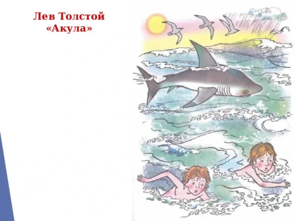 Акула для читательского дневника 3 класс. Акула для читательского дневника 3 класс. Л толстой акула. Акула толстой читательский дневник. Лев николаевич толстой рассказ акула.