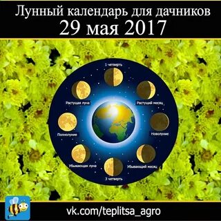 24 октября какой день по лунному календарю
