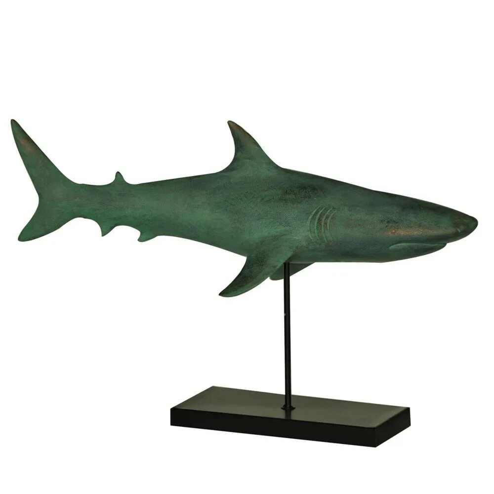 Бронзовая акула. Акула бронза. Bronze Shark.