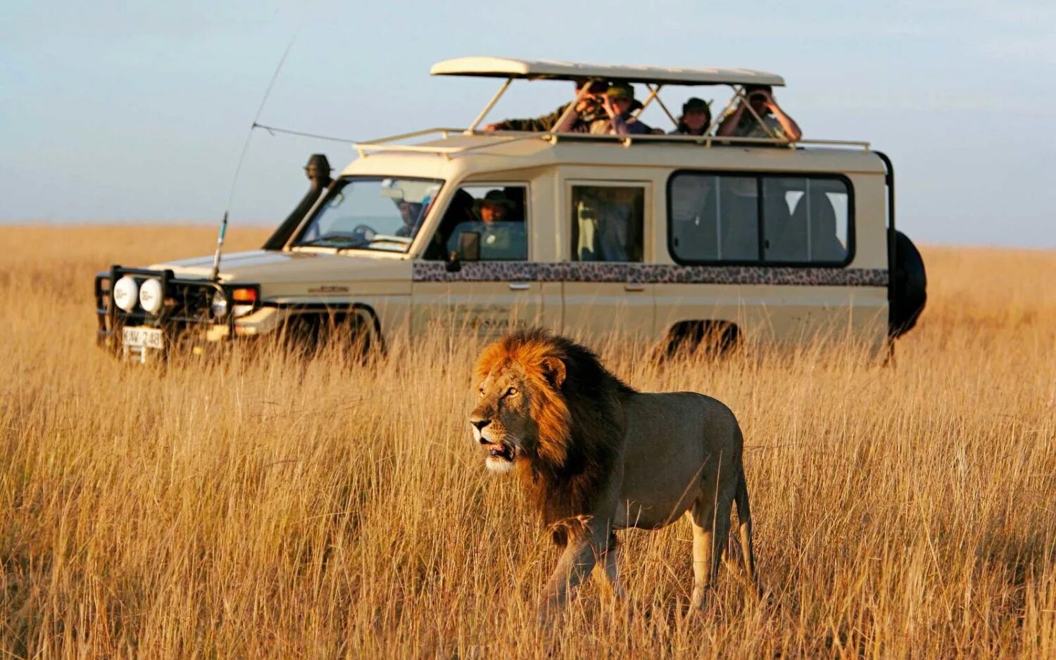 Africa safari. Джип сафари Танзания. Кения сафари. Сафари тур в Танзании.