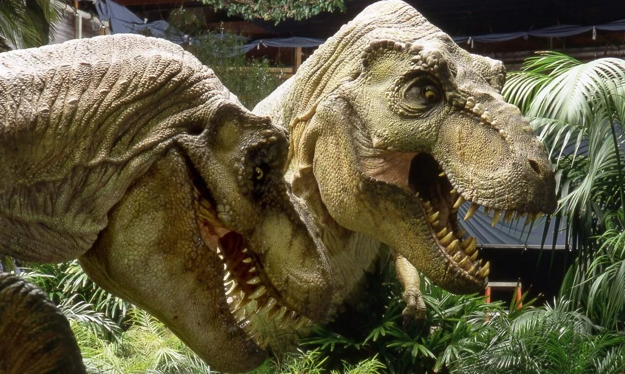 Динозавры периода 2. Парк Юрского периода 2 Тиранозавр. Тираннозавр парк Юрского периода 1. Парк Юрского периода 2 Затерянный мир Тираннозавр. Тиранозавр рекс парк Юрского периода.