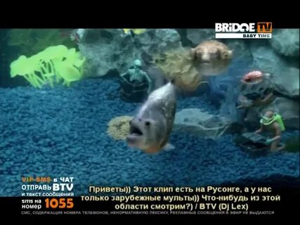 Старый с чатом на bridge tv