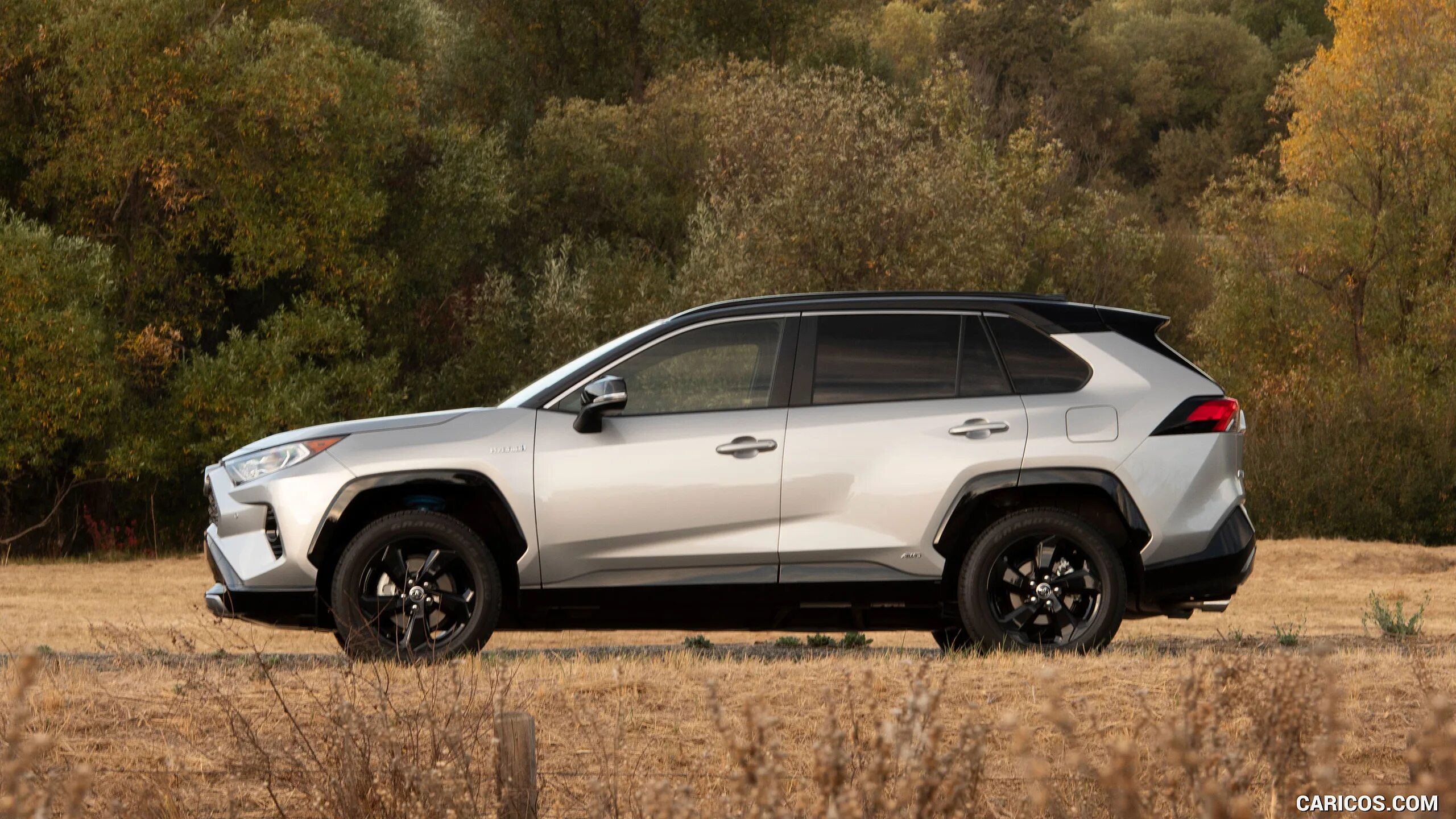 Toyota rav4 2019. Toyota rav4 2020. Toyota rav4 Hybrid 2020. Тойота рав 4 2019.