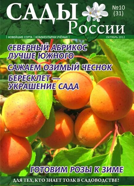 Сады россии саженцы интернет магазин каталог. Фирма сады России. Сады России осень 2021. Питомник сады России. Сады России каталог.