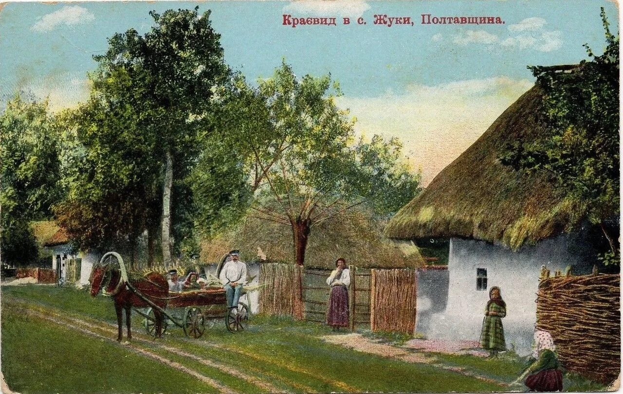 Села нес