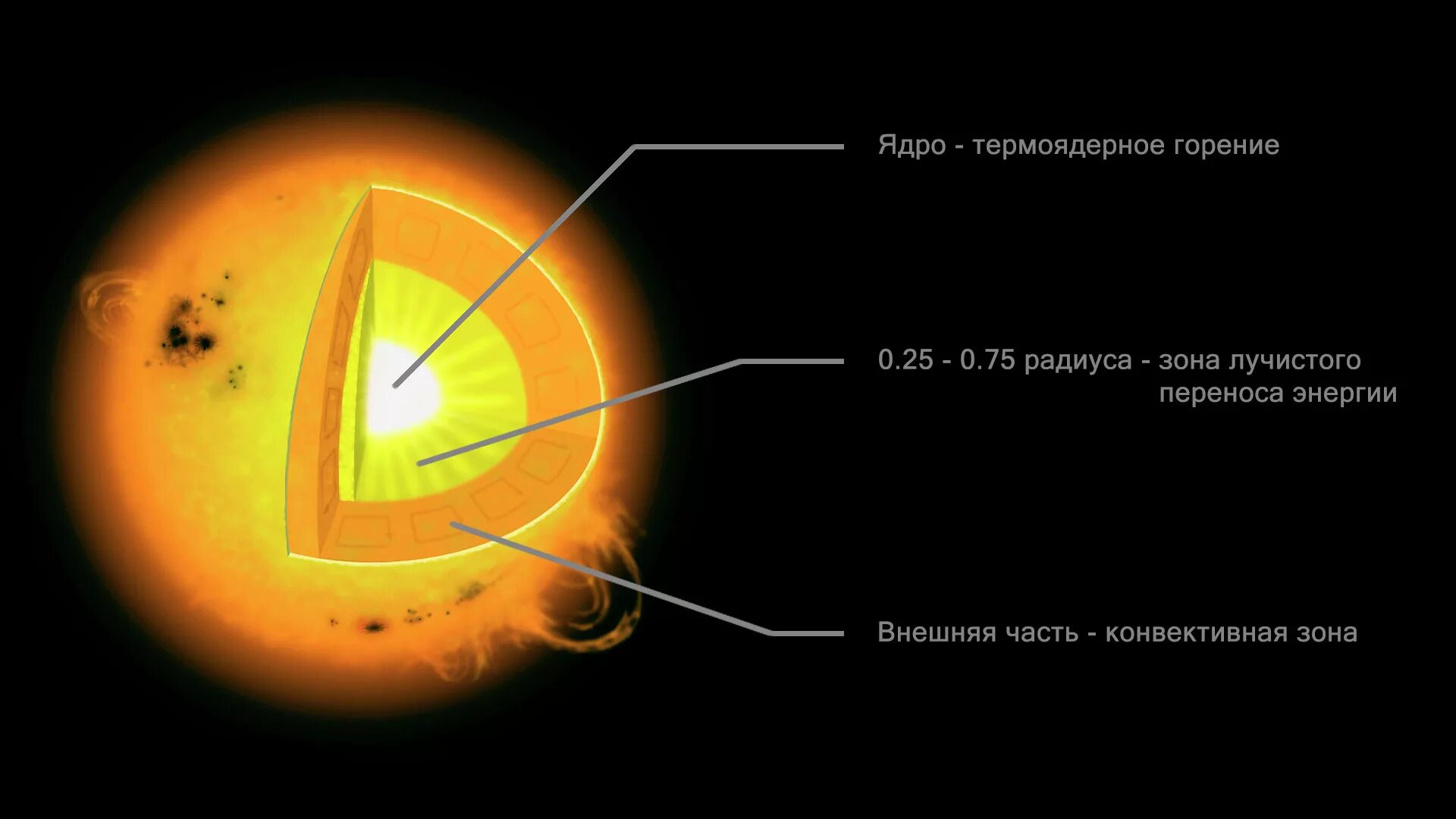 Строение звезды солнца. Внутренне строение солнца ядро. Ядро зона лучистого переноса конвективная зона. Зона лучистого переноса солнца. Строение солнца конвективная зона.
