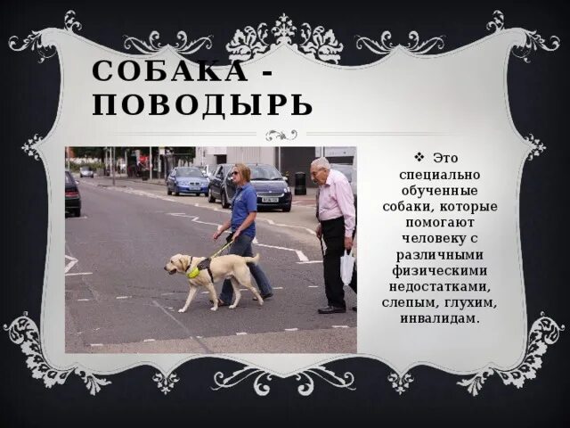 Джек поводырь ответы 4 класс контрольная работа