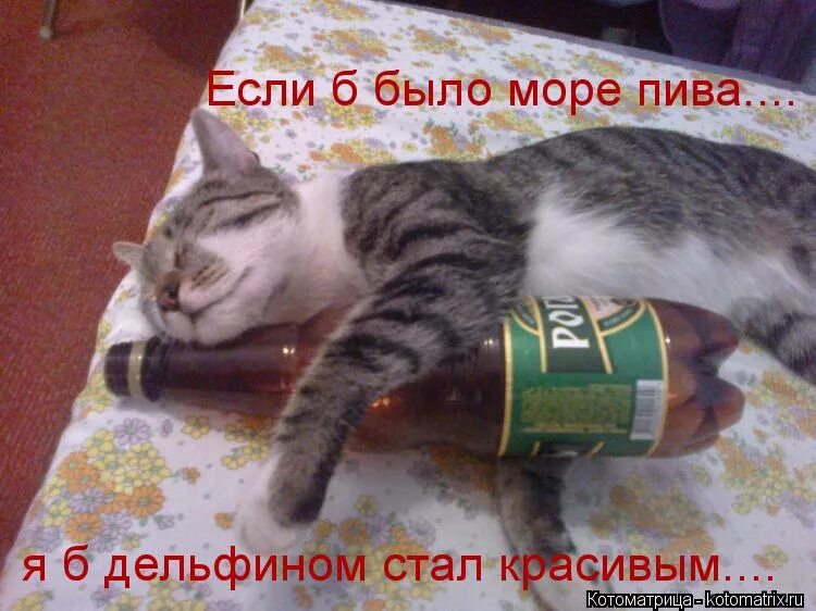 Можно б было. Можно б было. Можно б было. Самара. Смешно если бы не так грустно.