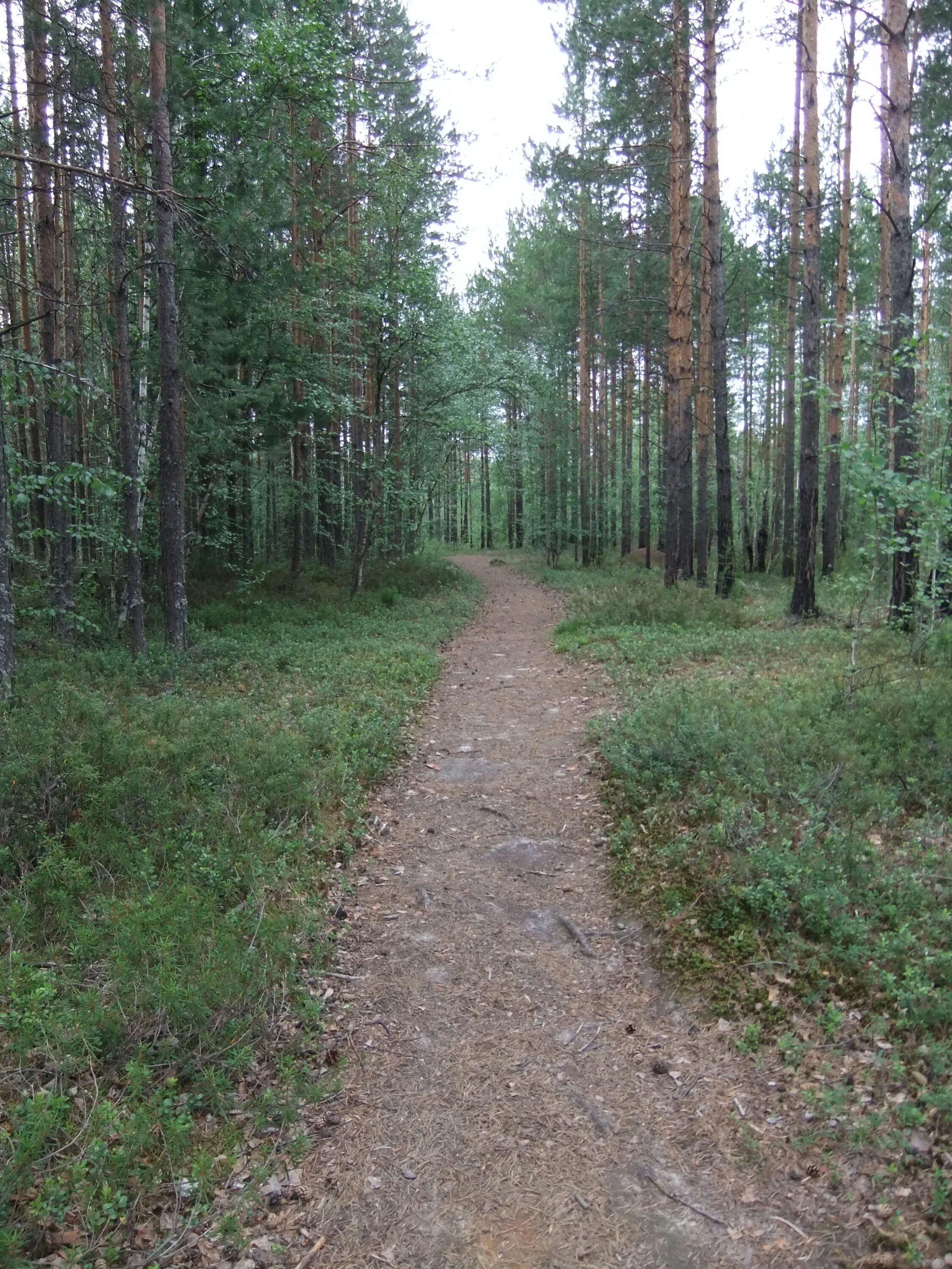 Тропа народа. Народная тропа. Фольклорная тропа. Народная тропа Белгород. Народные тропы Клин.