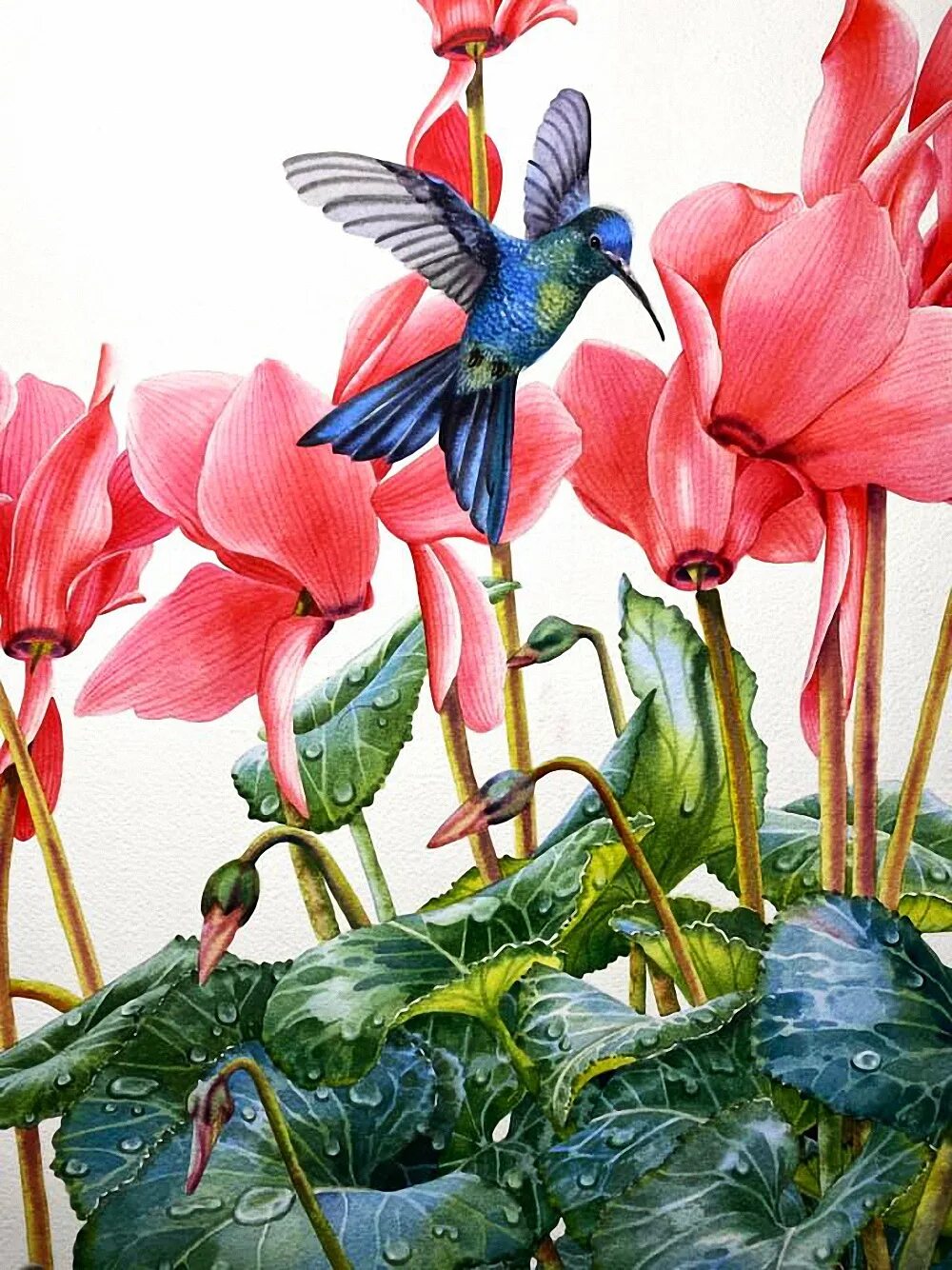 Пошла молли райские цветы. Kitipong Maksin художник из Таиланда. Kitipong Maksin акварель птички. Райские цветы. Красивые Райские цветы.