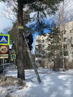 Лебяженское городское поселение ломоносовского