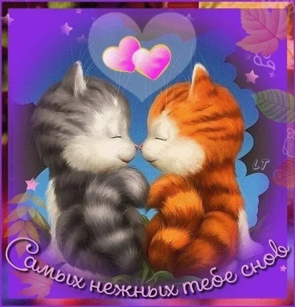 Спокойной ночи целую обнимаю. Сладких снов котик с сердечками. сладких снов обнимашки. спокойной ночи с котятами и сердечками. спокойной ночи котики с сердечками.