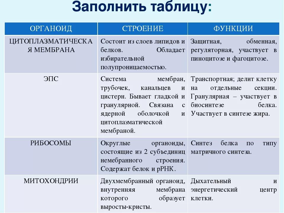 Название строение и функции органоидов клетки таблица. Органоиды клетки строение и функции таблица. Таблица по биологии строение и функции органоидов клетки. Органоиды строение и функции таблица.