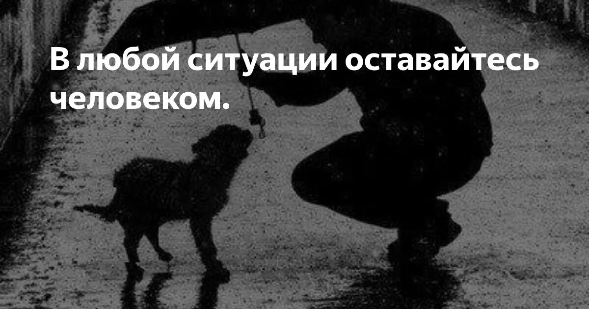 Оставаться человеком в любой ситуации. Оставайся человеком. Остаться человеком. Оставайтесь людьми в любой ситуации. Оставайся человеком видео