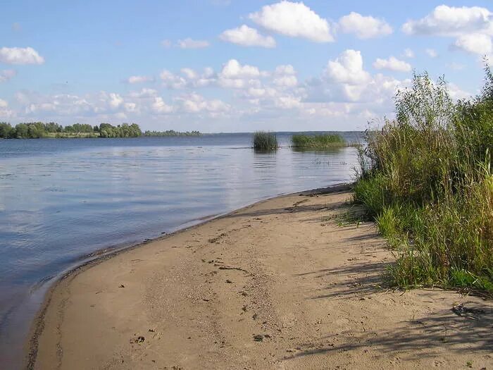 Иваньковское водохранилище. Водохранилище в Ивановской области. Река Вергуза Ивановская. Щуковское водохранилище Ивановская. Иваньковский водоем