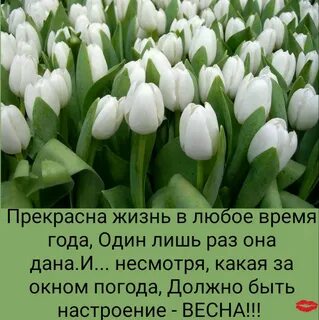 И в любое время она