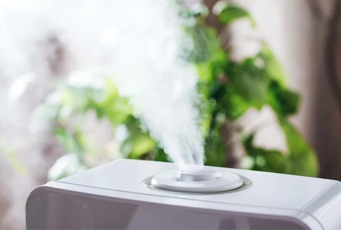 Нужен ли увлажнитель летом. Увлажнитель воздуха Humidifier к5. Увлажнитель воздуха Humidifier cool Steam. Увлажнитель воздуха genau. Увлажнитель воздуха с цветочками.