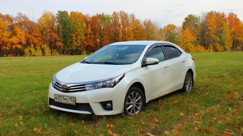 Toyota Corolla 160. Тойота Королла 180. Тойота Королла е160. Toyota Corolla 160 кузов. Купить королла в московской области