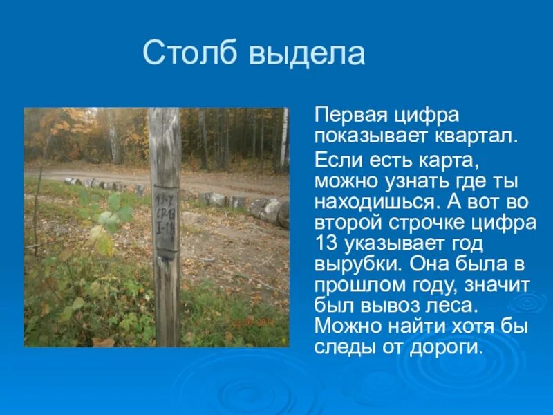 Где вода стоит столбом ответ. Столб с километрами. Где находятся столбы. Столб с поиском животных.