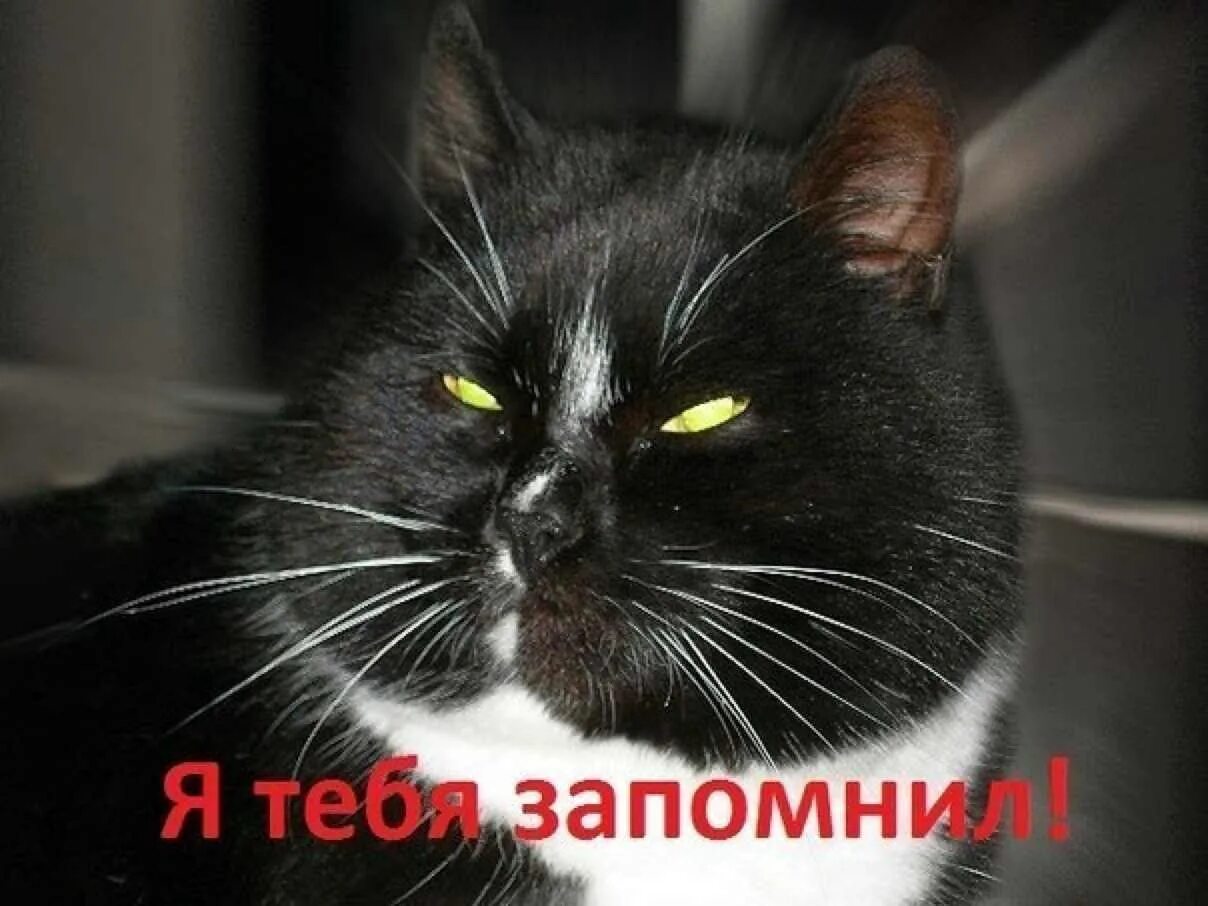 Как сделать так чтобы ты запомнила