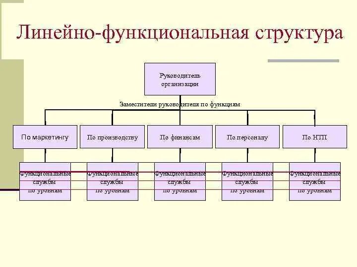 Линейная- функциональная организационная структура схема. Функционально линейная структура управления. Схема линейной функциональной структуры. Линейно-функциональная структура схема.