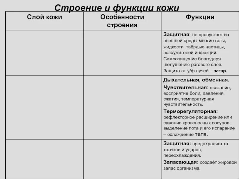 Строение и функции кожи тест 8 класс. Строение кожи и ее функции. Строение, функция кожи и гигиена кожи. Строение и функции кожи вывод. Технологическая карта строение и функции кожи.