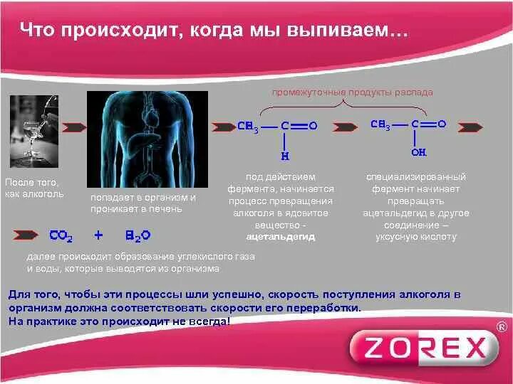 Продукты распада в организме. Что происходит когда алкоголь попадает в организм. Продукты распада спирта в организме. Алкоголь процесс распада в печени. Продукты распада воды в организме