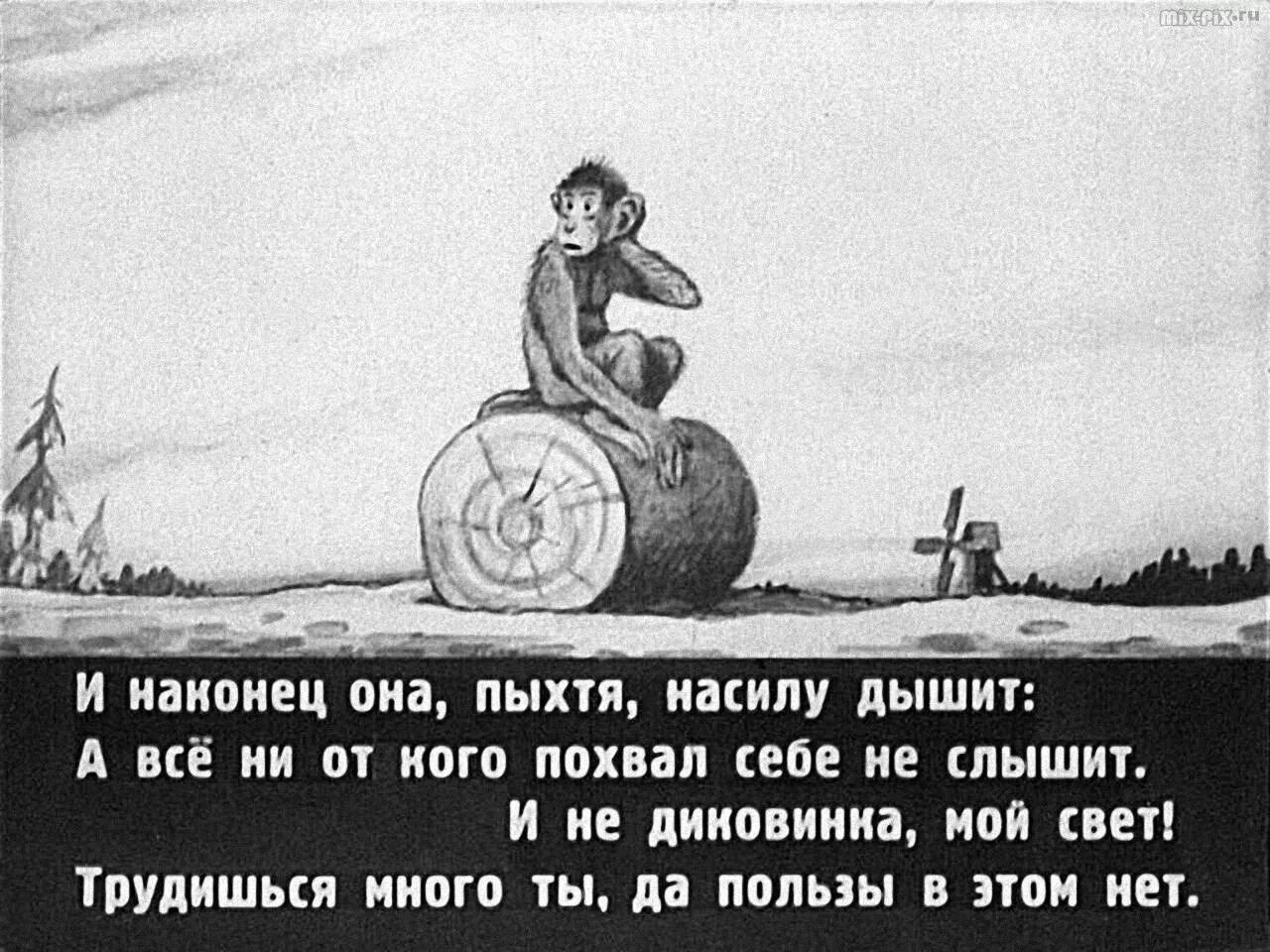 Многие пользы