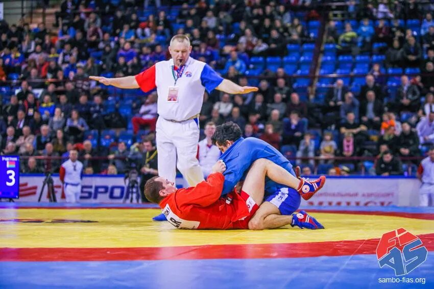 Судья самбо. Арбитр самбо. Судейство самбо.