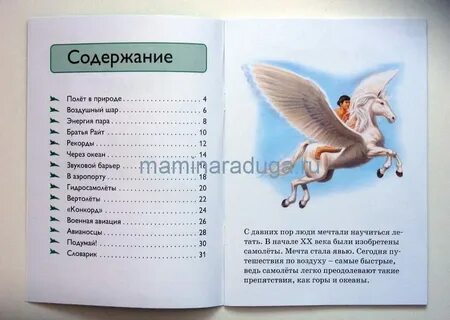Полет содержание