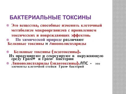 Белковые токсины бактерий