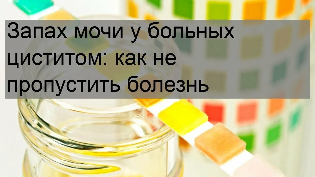 Моча пахнет гречкой. Цистит мутная моча. мутная моча при цистите. при цистите моча пахнет. мутная моча и запах при цистите.