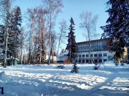 Погода покровское московская область