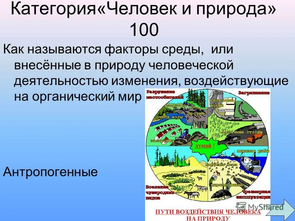 Как называется фактор деятельности человека. Как называется фактор деятельности человека. Антропошенныефактооры. Факторы связанные с деятельностью человека называются. Факторы развития это в психологии.