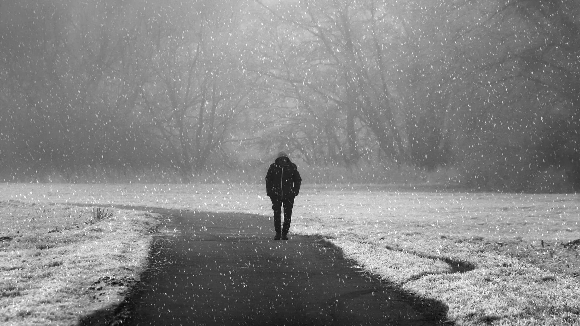 Грусть зимой. Одиночество зимой. Снег одиночество. Грусть зима одиночество.