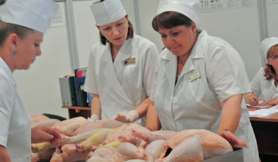 Лабораторные исследования мяса птиц. Исследование мяса птицы. Нерюнгринская птицефабрика фото. Исследование мяса птицы. Качество пищевых продуктов.