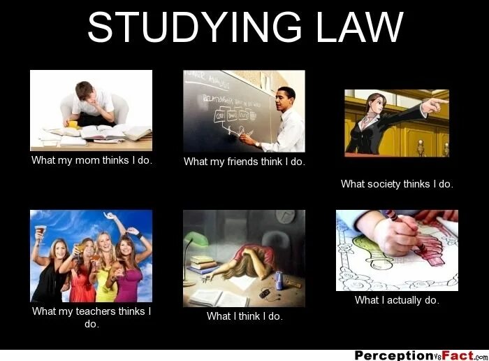 You studying law