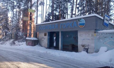 Сайт сосновой горки